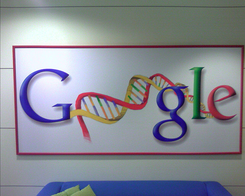 Google Health  2008